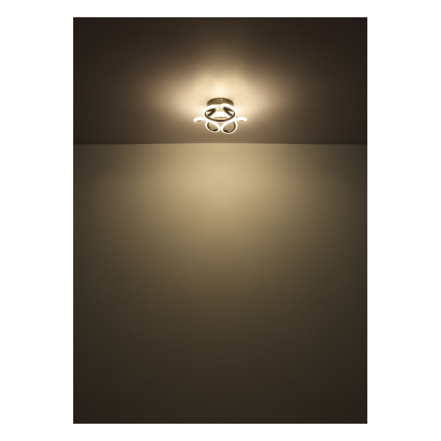 Globo - LED Stropní svítidlo LED/24W/230V 2700/4000/6000K pr. 26 cm černá