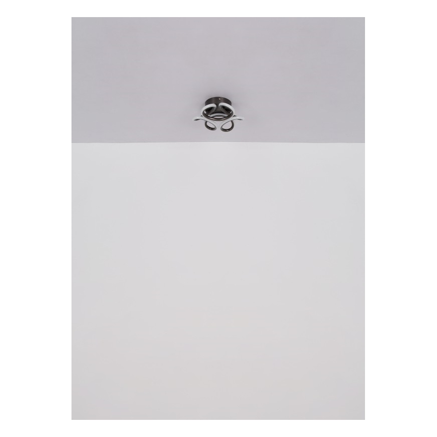 Globo - LED Stropní svítidlo LED/24W/230V 2700/4000/6000K pr. 26 cm černá