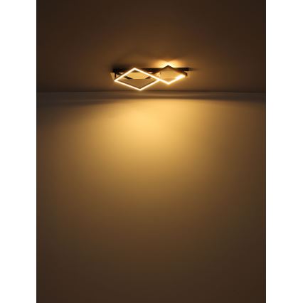 Globo - LED Stropní svítidlo LED/24W/230V 3000K