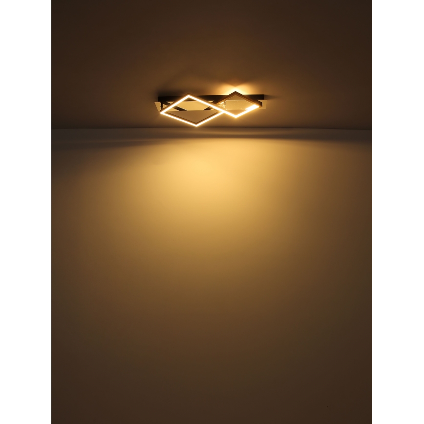Globo - LED Stropní svítidlo LED/24W/230V 3000K