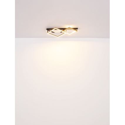 Globo - LED Stropní svítidlo LED/24W/230V 3000K