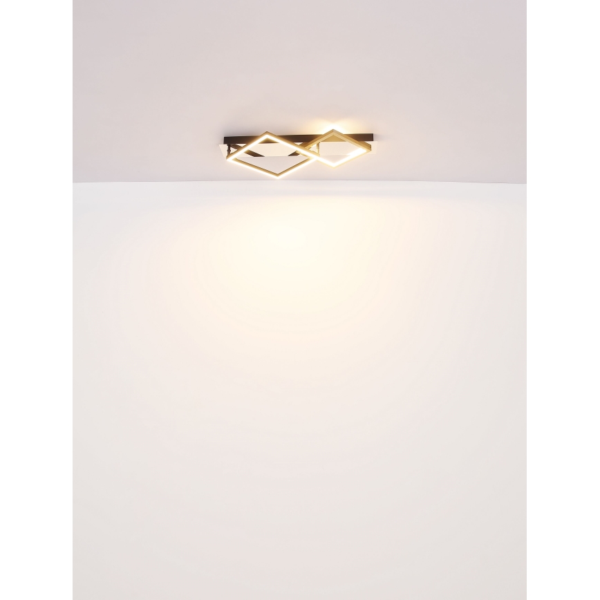Globo - LED Stropní svítidlo LED/24W/230V 3000K