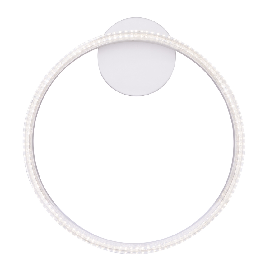 Globo - LED Stropní svítidlo LED/24W/230V