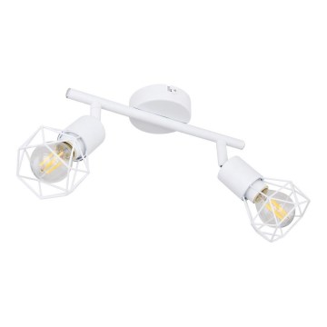 Globo - Bodové svítidlo 2xE14/40W/230V