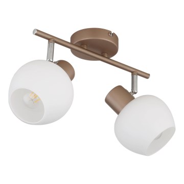 Globo - Bodové svítidlo 2xE27/40W/230V