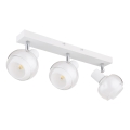 Globo - Bodové svítidlo 3xE14/40W/230V bílá