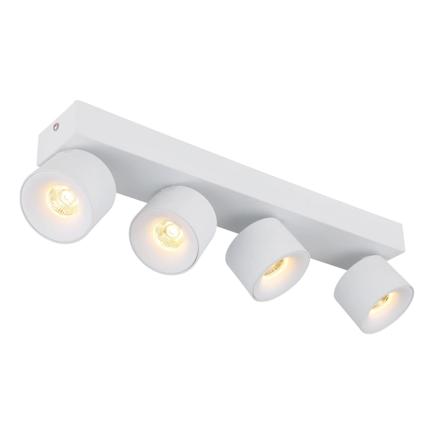 Globo - LED Bodové svítidlo 4xLED/6W/230V bílá