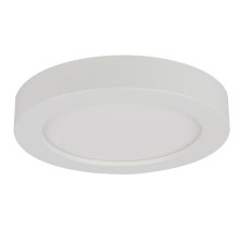 Globo - LED Koupelnové stropní svítidlo PAULA 1xLED/12W/230V
