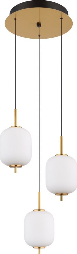 Globo - LED Lustr na lanku LED/20W/230V