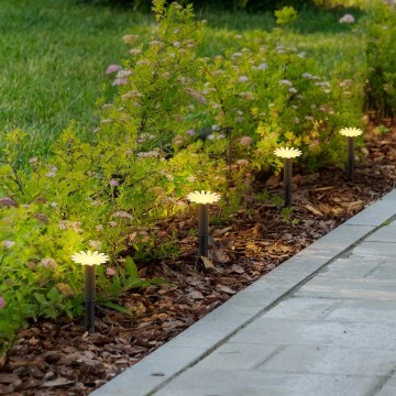 Globo - LED Solární řetěz 5xLED/3V IP44 300 mAh 2,2 m květy