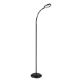 Globo - LED Stmívatelná dotyková stojací lampa LED/8W/230V 2700K/4000K/6500K černá