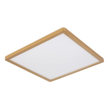 Globo - LED Stmívatelné koupelnové stropní svítidlo LED/18W/230V 3000K IP44 29,4x29,4 cm mosaz
