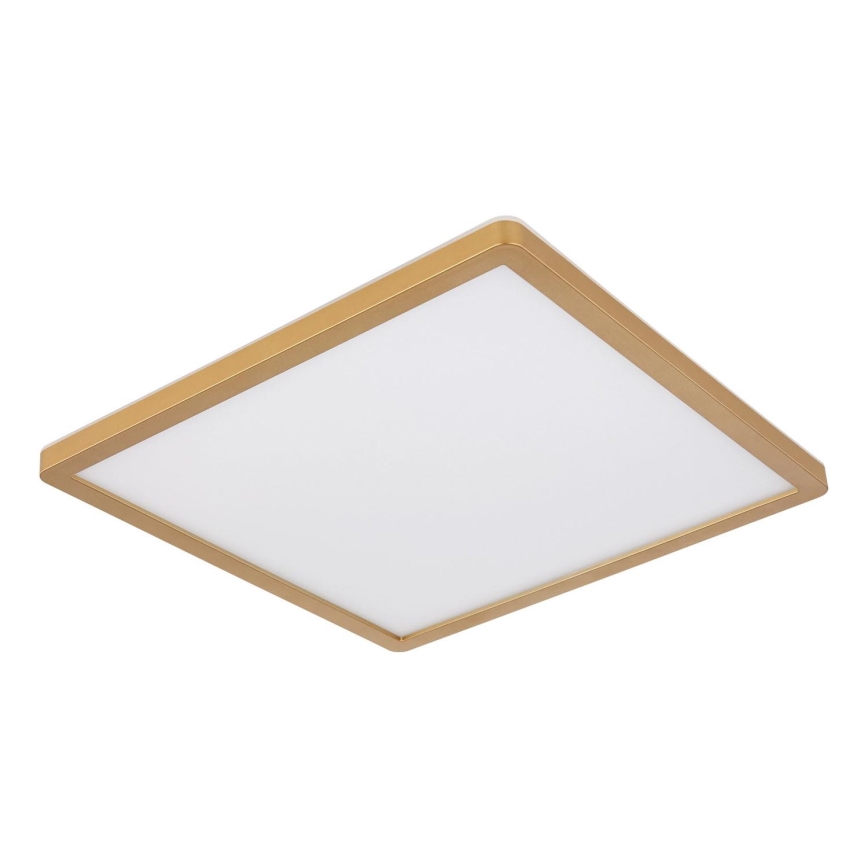 Globo - LED Stmívatelné koupelnové stropní svítidlo LED/18W/230V 3000K IP44 29,4x29,4 cm mosaz