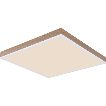 Globo - LED Stmívatelné stropní svítidlo LED/24W/230V 2700-6500K + dálkové ovládání hnědá/bílá