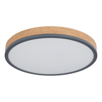 Globo - LED Stmívatelné stropní svítidlo LED/24W/230V 2700-6500K pr. 45 cm