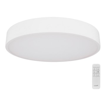 Globo - LED Stmívatelné stropní svítidlo LED/24W/230V 3000-6000K + dálkové ovládání