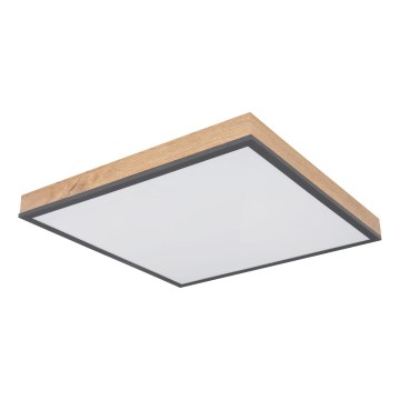 Globo - LED Stmívatelné stropní svítidlo LED/24W/230V 3000-6500K 45x45 cm