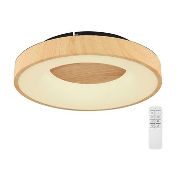 Globo - LED Stmívatelné stropní svítidlo LED/30W/230V + dálkové ovládání