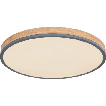 Globo - LED Stmívatelné stropní svítidlo LED/40W/230V 2700-6500K pr. 60 cm + dálkové ovládání hnědá/šedá