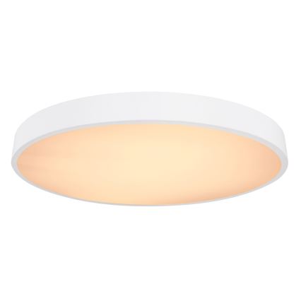 Globo - LED Stmívatelné stropní svítidlo LED/48W/230V 3000-6000K + dálkové ovládání