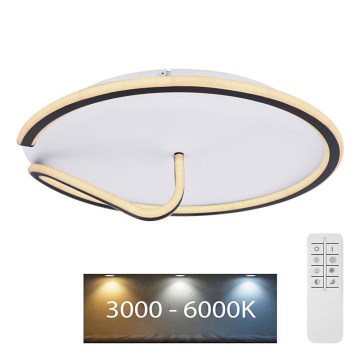 Globo - LED Stmívatelné stropní svítidlo RODAN LED/50W/230V 3000-6000K + dálkové ovládání