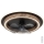 Globo - LED Stmívatelný stropní ventilátor LED/32W/230V 2700-6500K + dálkové ovládání