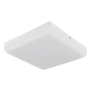 Globo - LED Stropní svítidlo LED/12W/230V 4000K 22x22 cm bílá