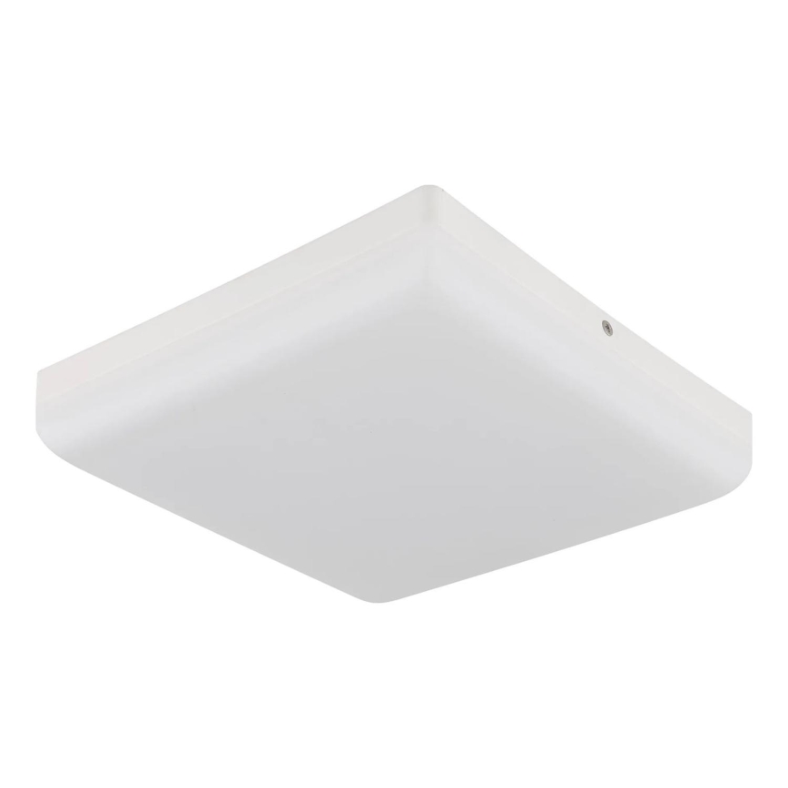 Globo - LED Stropní svítidlo LED/12W/230V 4000K 22x22 cm bílá