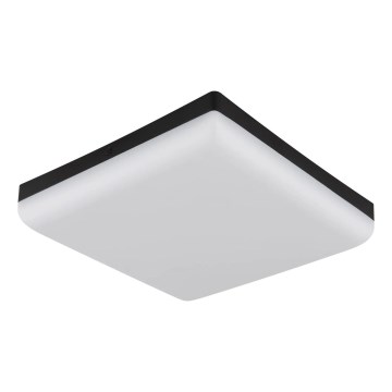 Globo - LED Stropní svítidlo LED/12W/230V 4000K 22x22 cm černá