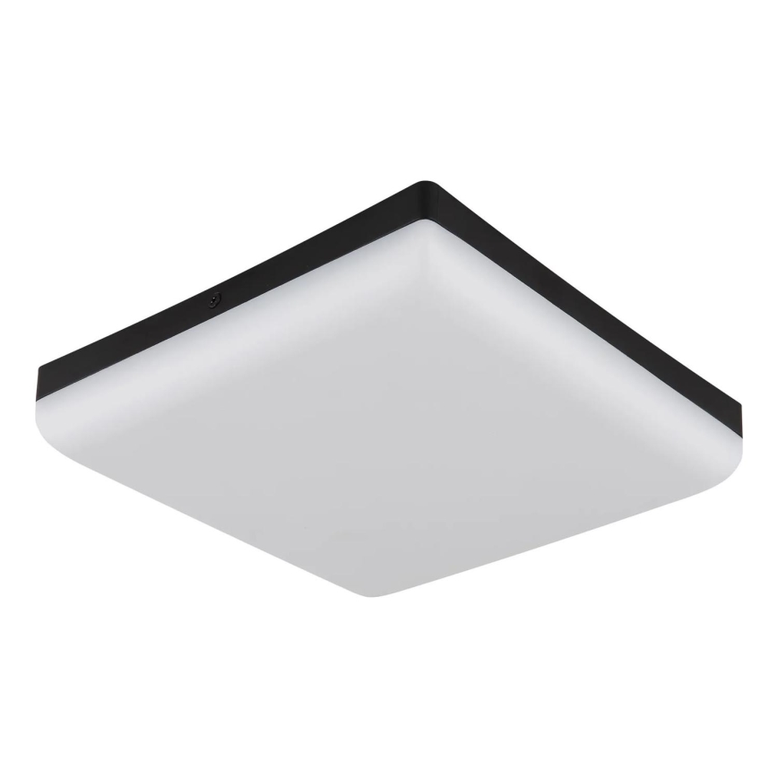 Globo - LED Stropní svítidlo LED/12W/230V 4000K 22x22 cm černá
