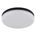 Globo - LED Stropní svítidlo LED/12W/230V 4000K pr. 22 cm černá