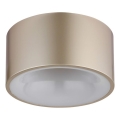 Globo - LED Stropní svítidlo LED/12W/230V pr. 15 cm 3000K mosaz
