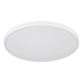 Globo - LED Stropní svítidlo LED/15W/230V 4000K pr. 23 cm bílá