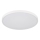 Globo - LED Stropní svítidlo LED/15W/230V 4000K pr. 23 cm bílá
