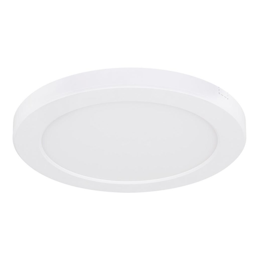 Globo - LED Stropní svítidlo LED/18W/230V 3000/4000/6500K bílá