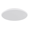Globo - LED Stropní svítidlo LED/18W/230V 3000K pr. 35 cm bílá