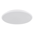 Globo - LED Stropní svítidlo LED/18W/230V 4000K pr. 35 cm bílá