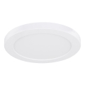 Globo - LED Stropní svítidlo LED/18W/230V