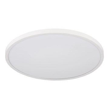 Globo - LED Stropní svítidlo LED/20W/230V 4000K pr. 30 cm bílá