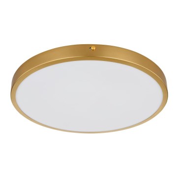 Globo - LED Stropní svítidlo LED/22W/230V pr. 35 cm
