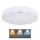 Globo - LED Stropní svítidlo LED/24W/230V 3000/4000/6000K pr. 37,5 cm