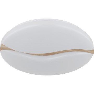 Globo - LED Stropní svítidlo LED/24W/230V 3000/4200/6000K pr. 33 cm