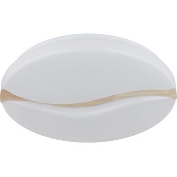 Globo - LED Stropní svítidlo LED/24W/230V 3000/4200/6000K pr. 39 cm