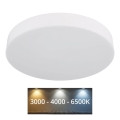 Globo - LED Stropní svítidlo LED/24W/230V 3000K/4000K/6500K pr. 30 cm bílá