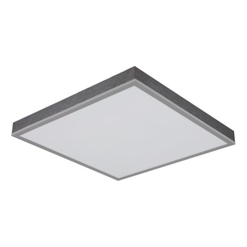 Globo - LED Stropní svítidlo LED/24W/230V 3000K 45x45 cm