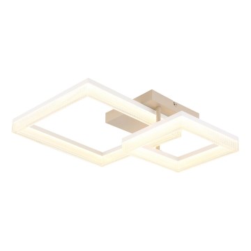 Globo - LED Stropní svítidlo LED/24W/230V 3000K 46,5x62,5 cm