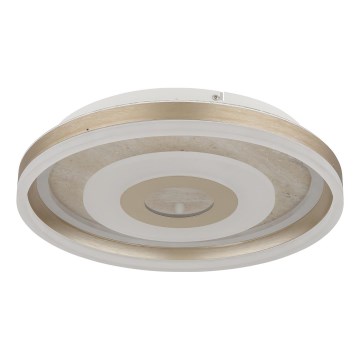 Globo - LED Stropní svítidlo LED/24W/230V 3000K pr. 40 cm