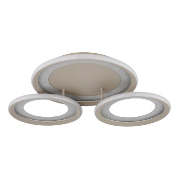 Globo - LED Stropní svítidlo LED/40W/230V 3000K 60,5x62,5 cm