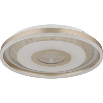 Globo - LED Stropní svítidlo LED/40W/230V 3000K pr. 50 cm