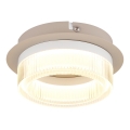 Globo - LED Stropní svítidlo LED/8W/230V 3000K pr. 16 cm